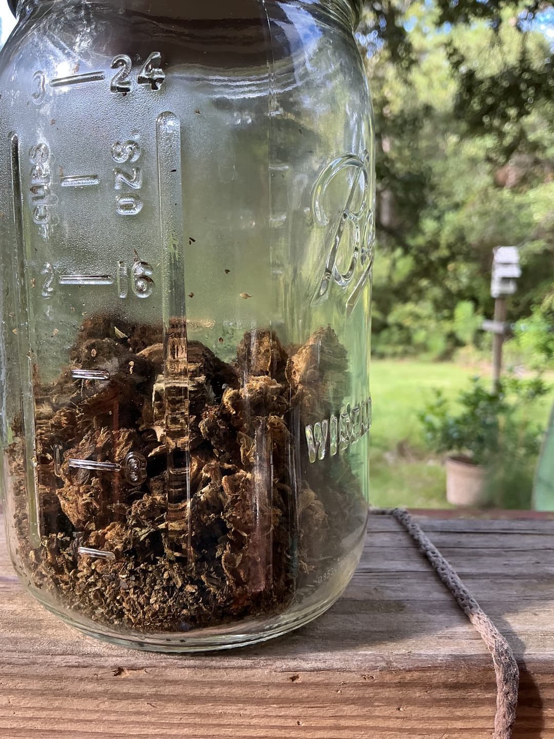 Customer photo review of Bulk THCA Flower Pounds