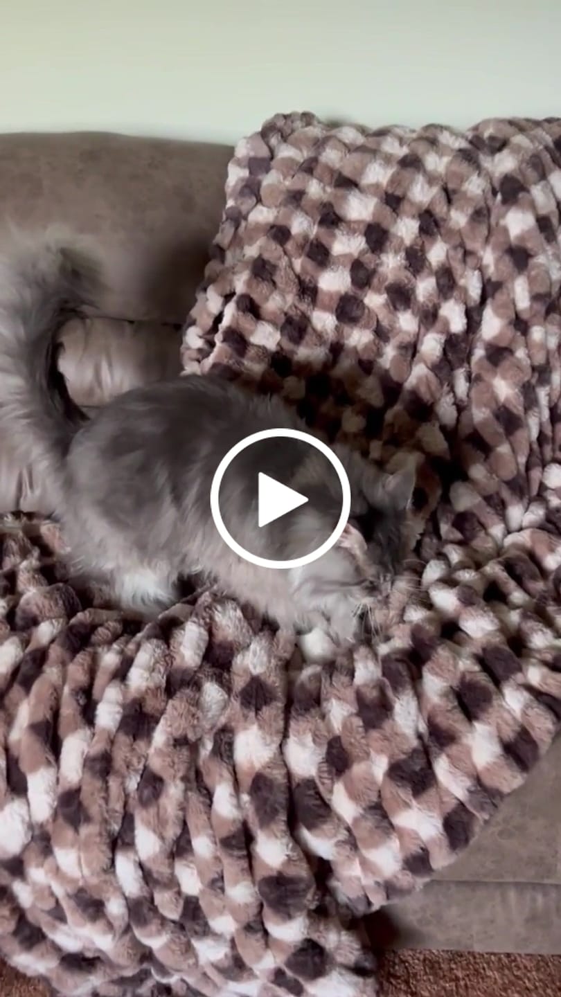 Customer video review of Hugs Milk Chocolate Gingham Blanket