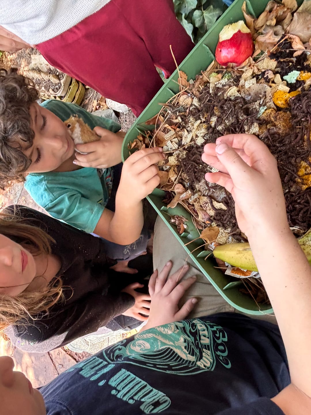 Customer photo review of Red Wigglers Composting Worms