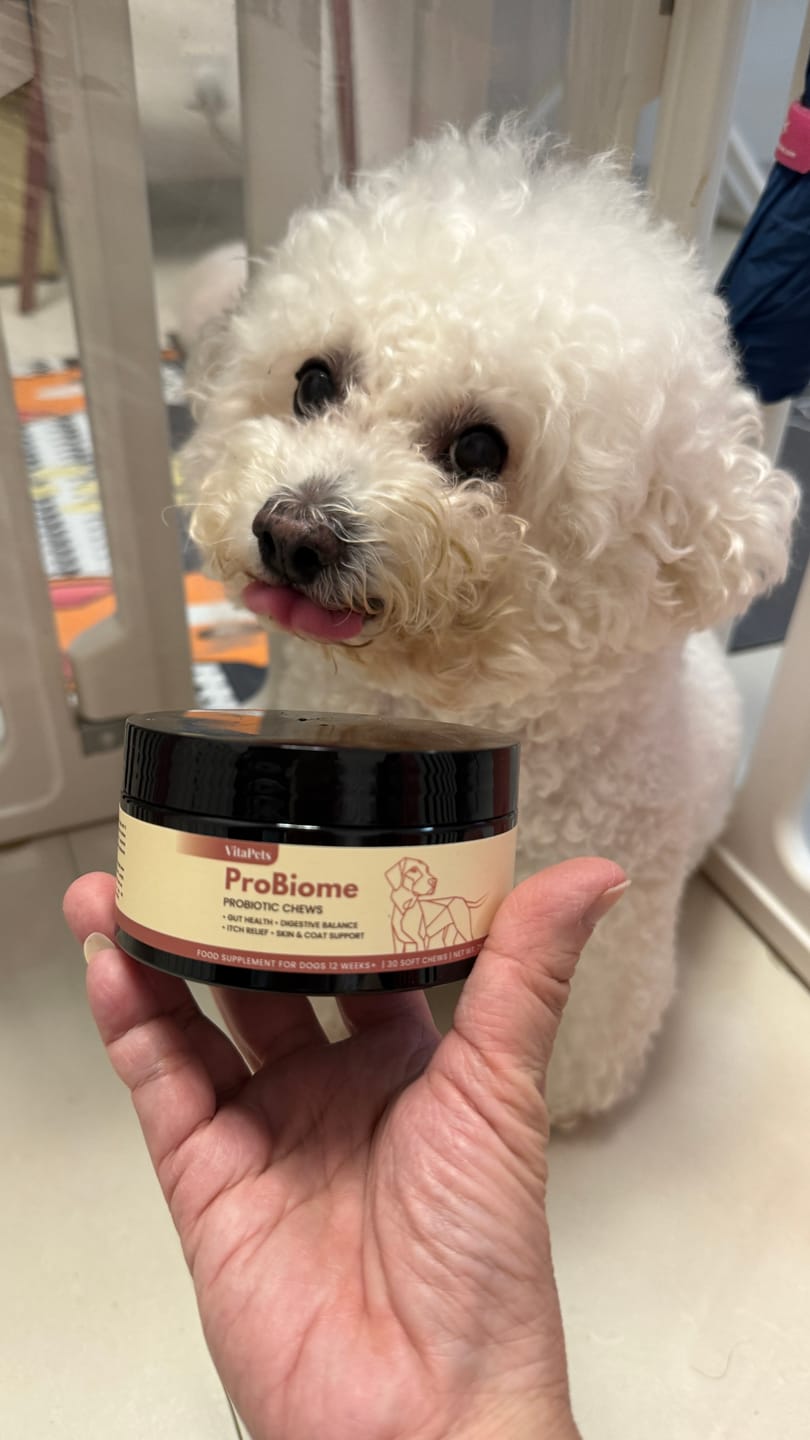 Customer photo review of ProBiome™狗狗益生菌軟粒