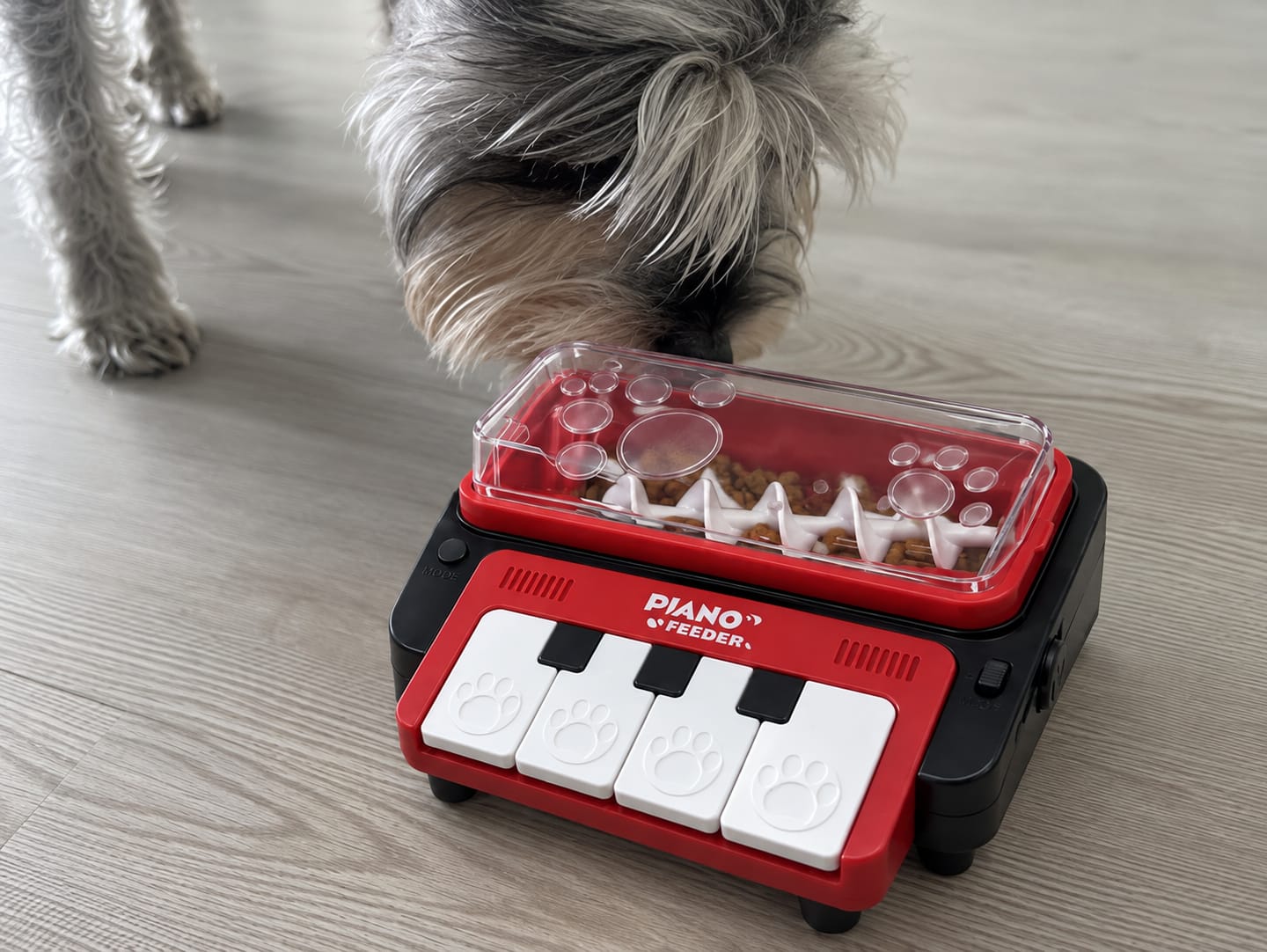 Customer photo review of Leckerli-Klavier, das Hund & Katze beschäftigt
