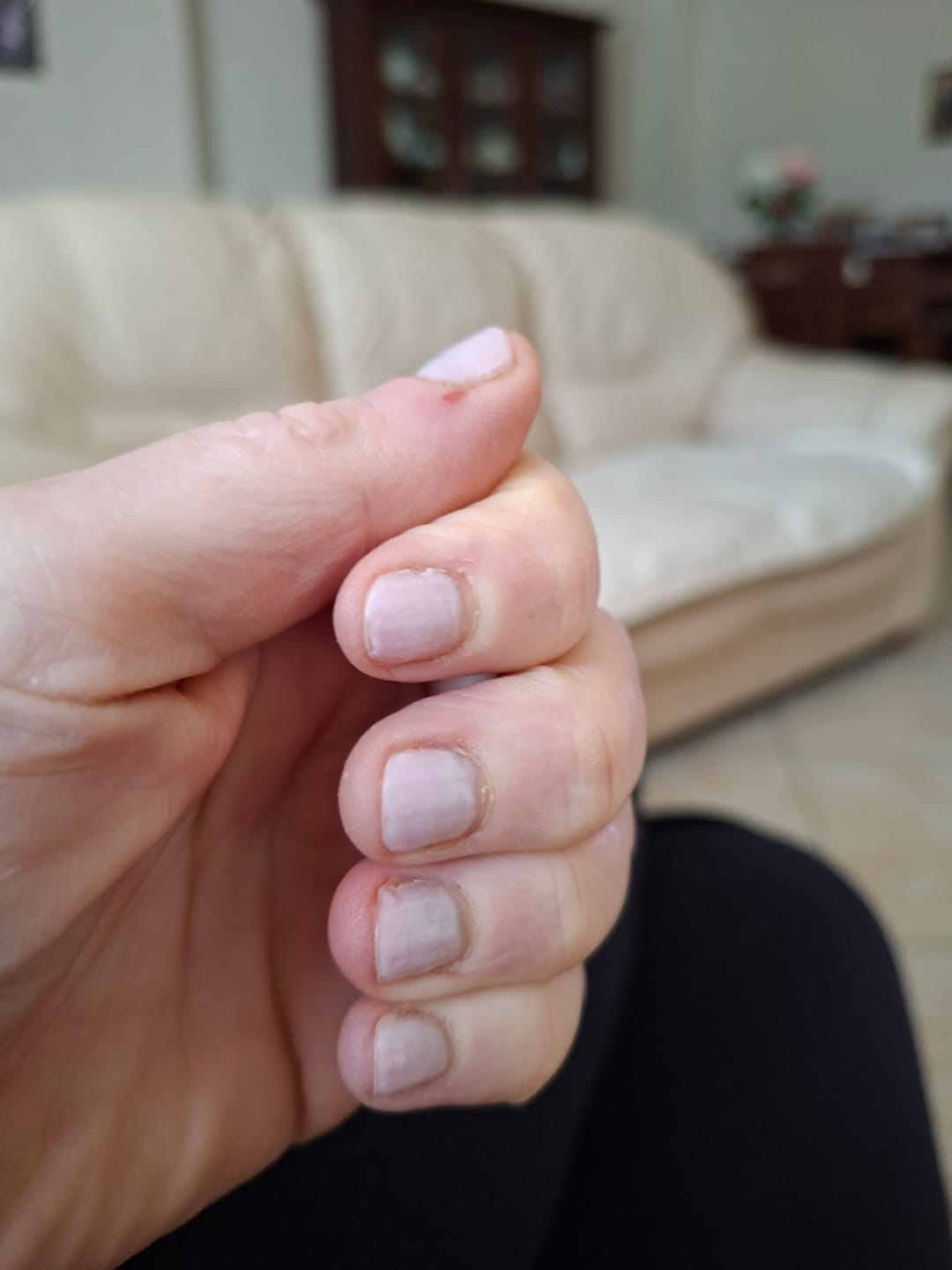Customer photo review of Smalto Semipermanente LCI -  LOLITA