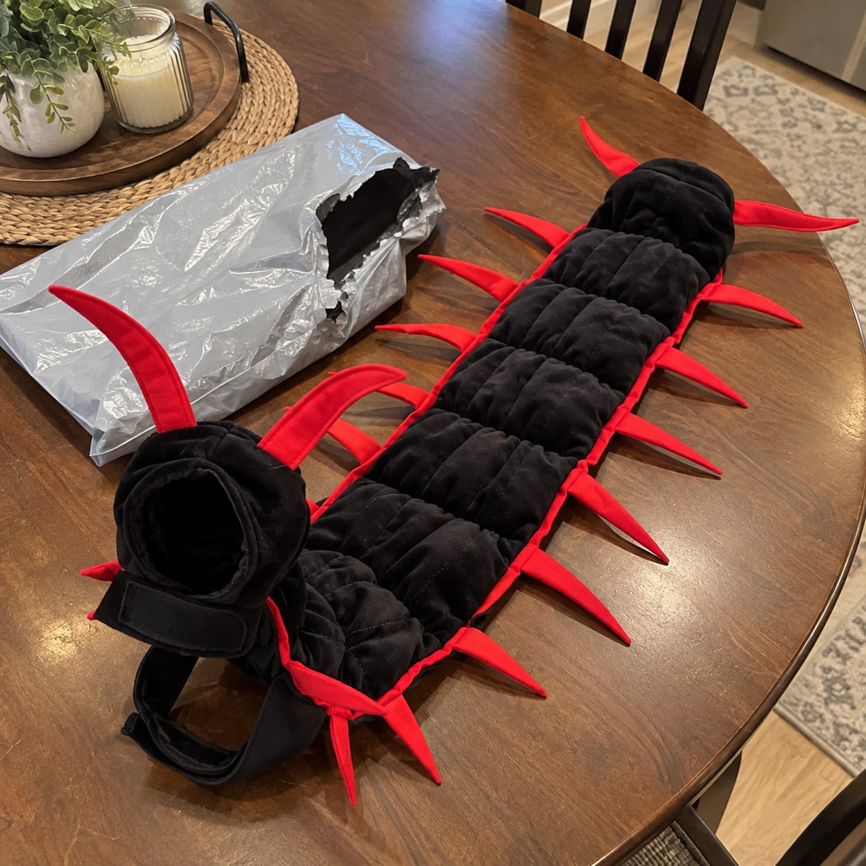 Customer photo review of Centipede Cat Costume