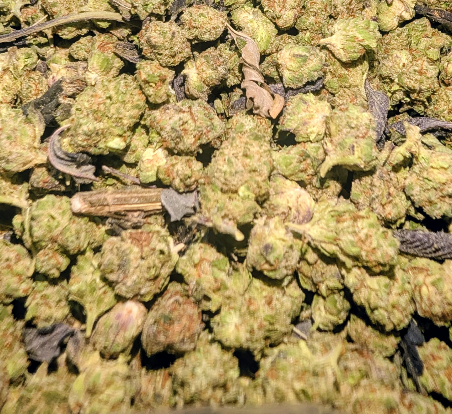 Customer photo review of LITTLES BRAND - Citrus Skunk Littles - 28 Grams - Sativa