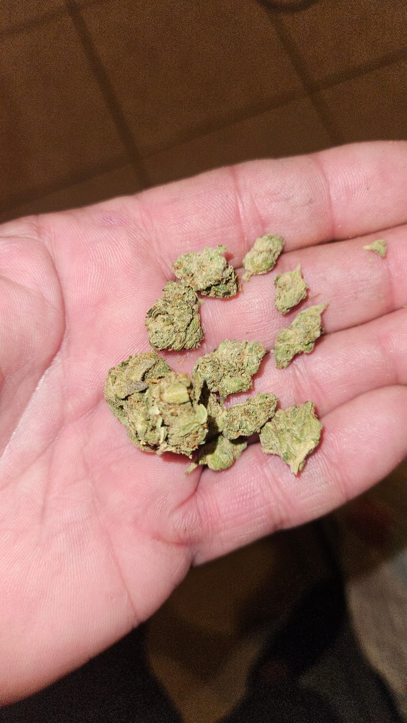 Customer photo review of LITTLES BRAND - Blueberry Zkittles - Littles - 28 Grams - Indica