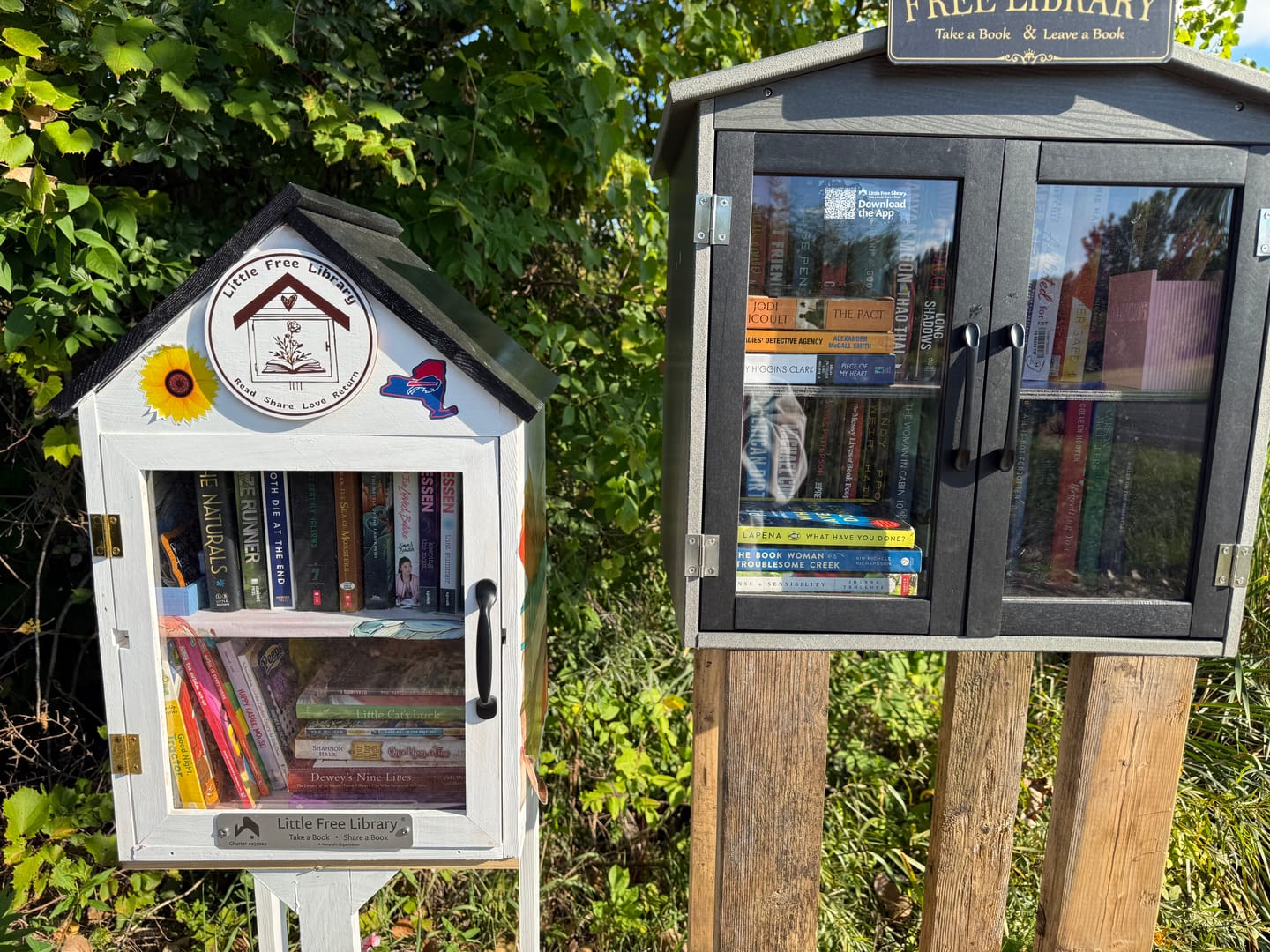 Customer photo review of Little Free Library Official Charter Sign