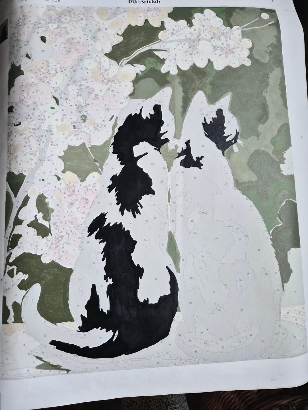 Customer photo review of Turn Your Pet Into a Painting – Custom Paint by Numbers Kit