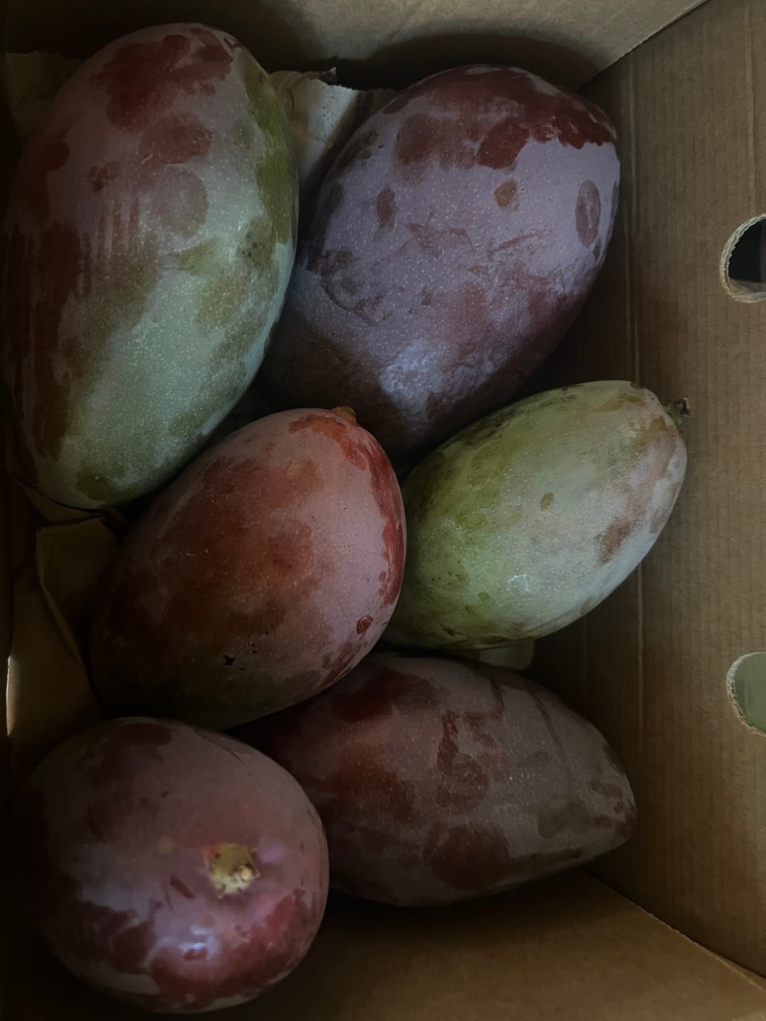 Customer photo review of Mango Irwin Edelsorte Bio von Julian Aktionswoche %