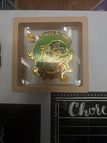 Customer's Tracing My Roots Pin & Magnet in its protective display case, attached to a refrigerator.