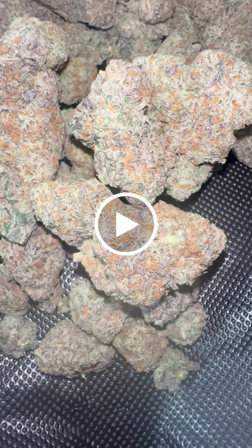 Customer video review of Glitter Bomb (Half-Price Wholesale Clearance)