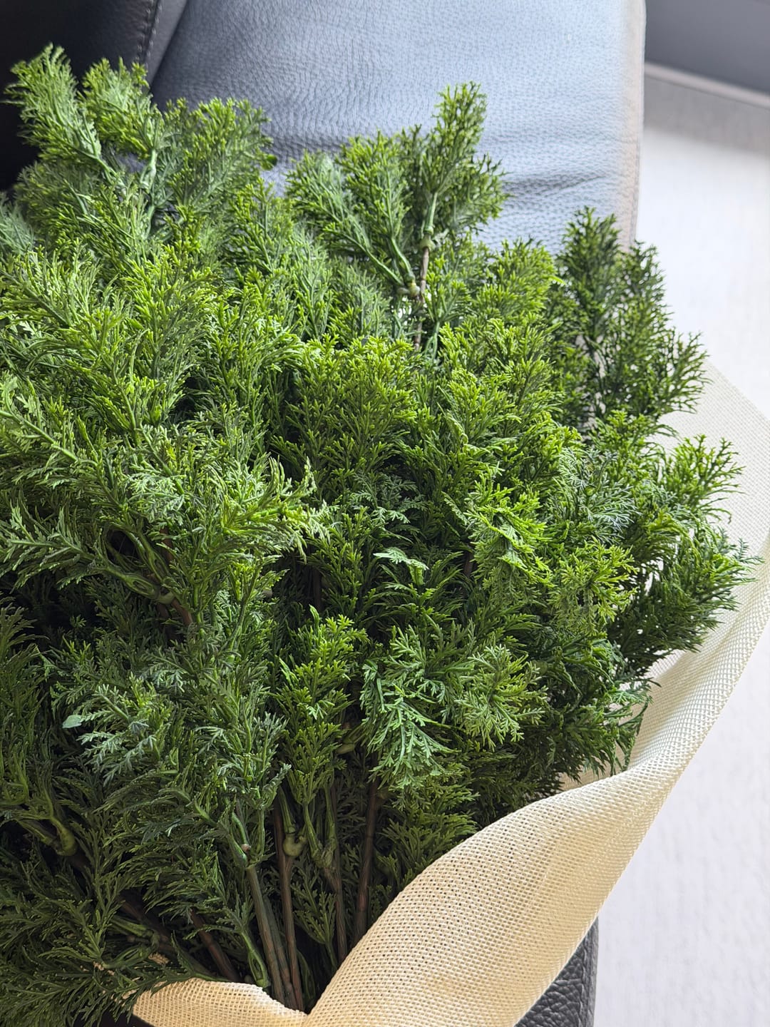 Customer photo review of Winter takken - Bosgroen
