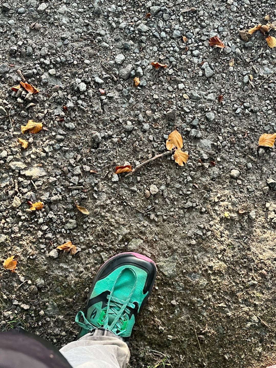 Customer photo review of Aurora - Wide Toe Sneakers