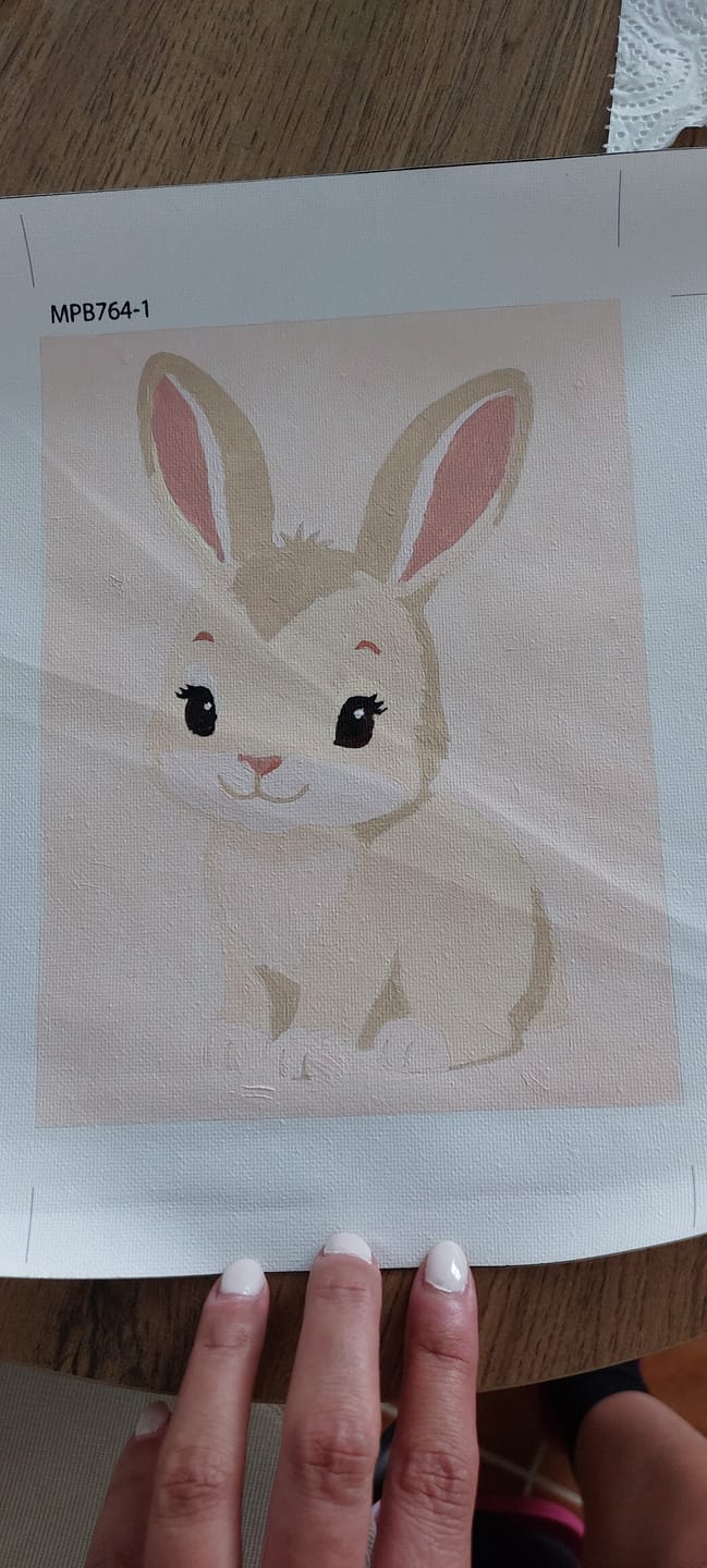 Customer photo review of 6 Mini Paintings - Baby Animals Set