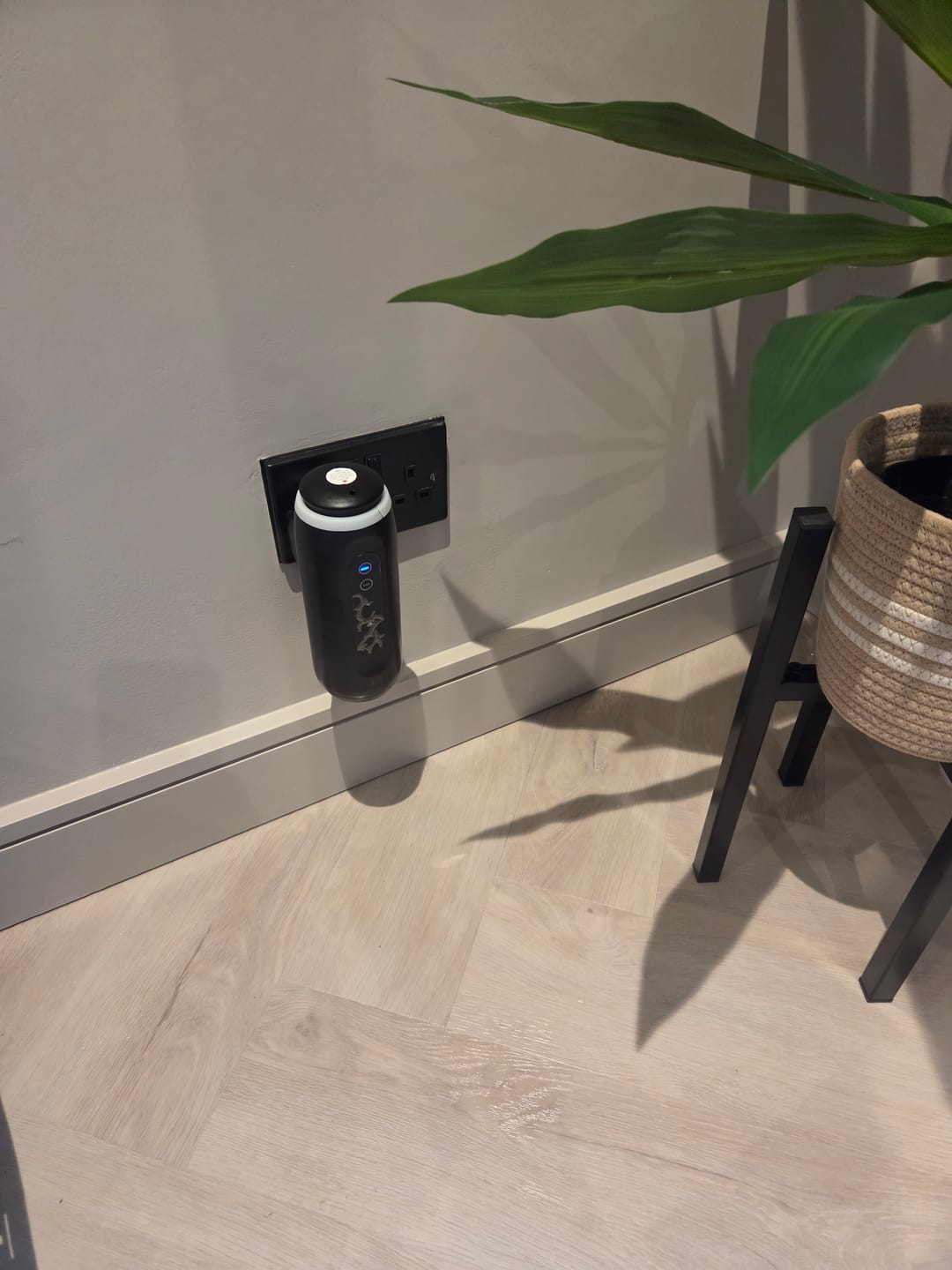 Customer photo review of ZenPlug – The Smart Bluetooth Waterless Plug-In Diffuser
