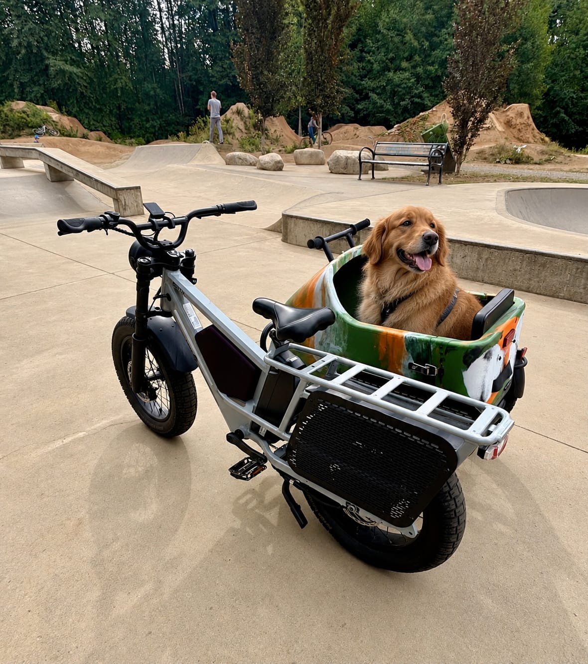 Customer photo review of Letrigo Sidecar01
