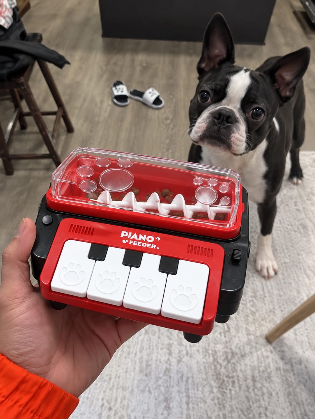 Customer photo review of Leckerli-Klavier, das Hund & Katze beschäftigt