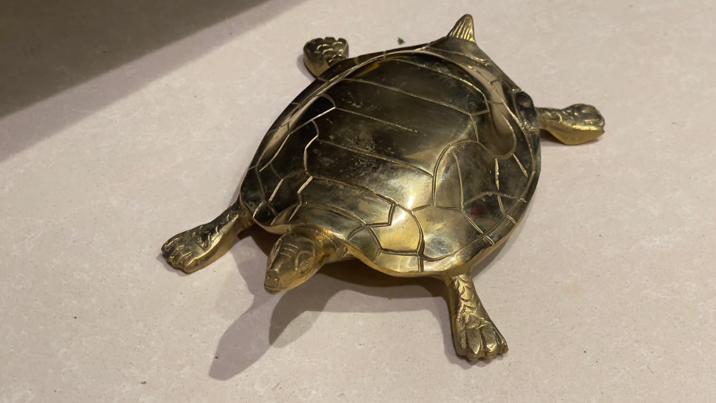 Customer photo review of Pure Brass Tortoise Idol Vastu Remedy for Stability, Protection and Positive Energy | 22 x 12 cm | 1.05kg