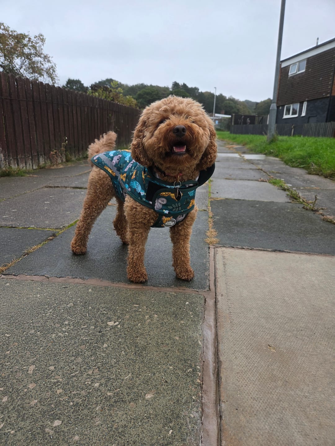 Customer photo review of Rain Jacket - You Cheetah