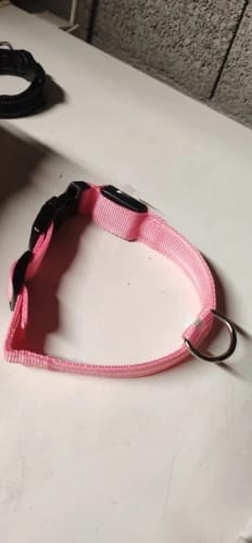 Customer photo review of Double-Light Collar to See Your Dog at Night