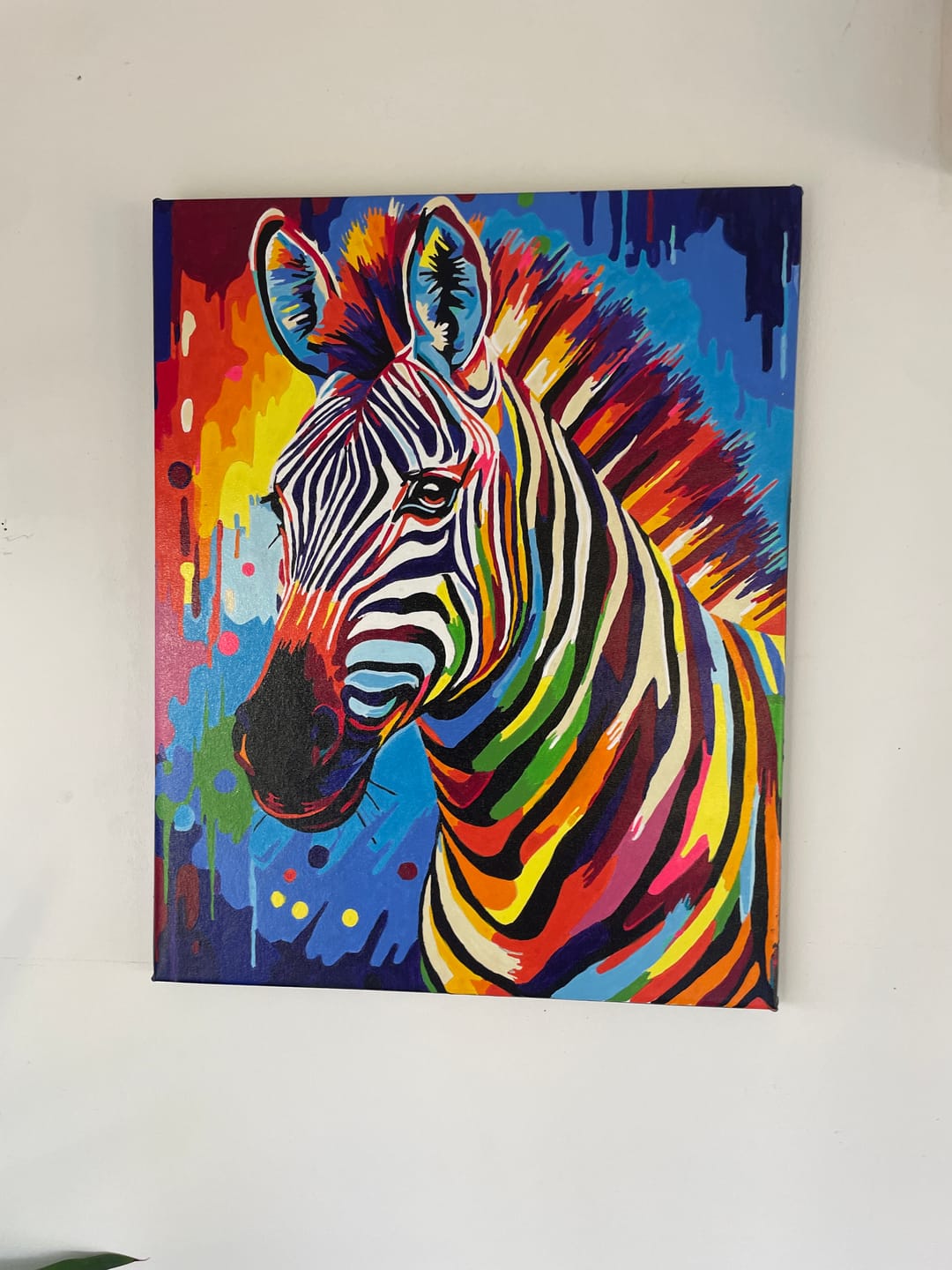 Customer photo review of Zèbre Coloré Abstrait