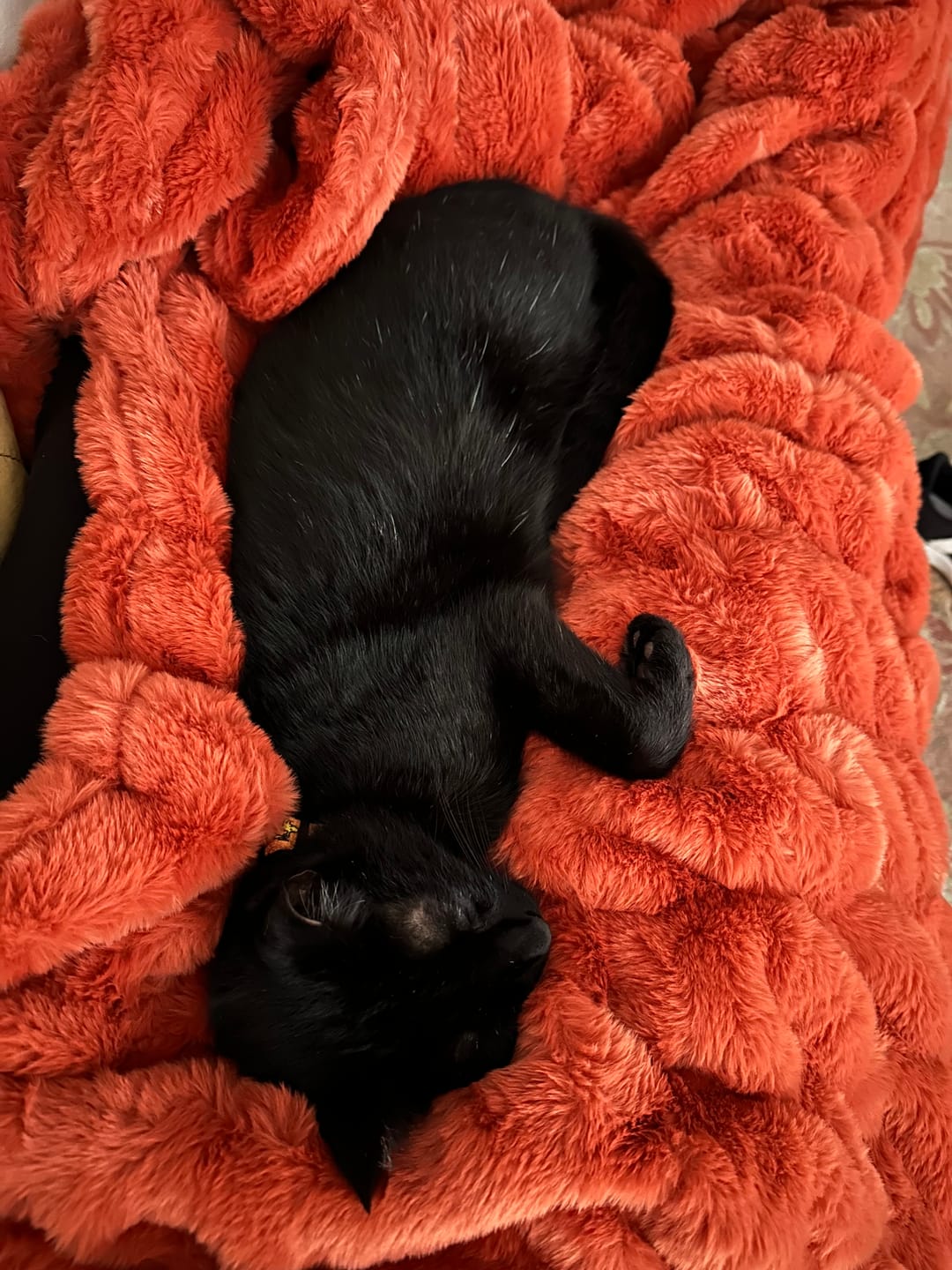 Customer photo review of Hugs Fall Harvest Blanket