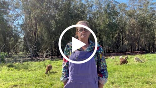 Customer video review of Brumby Suit - Milky Way