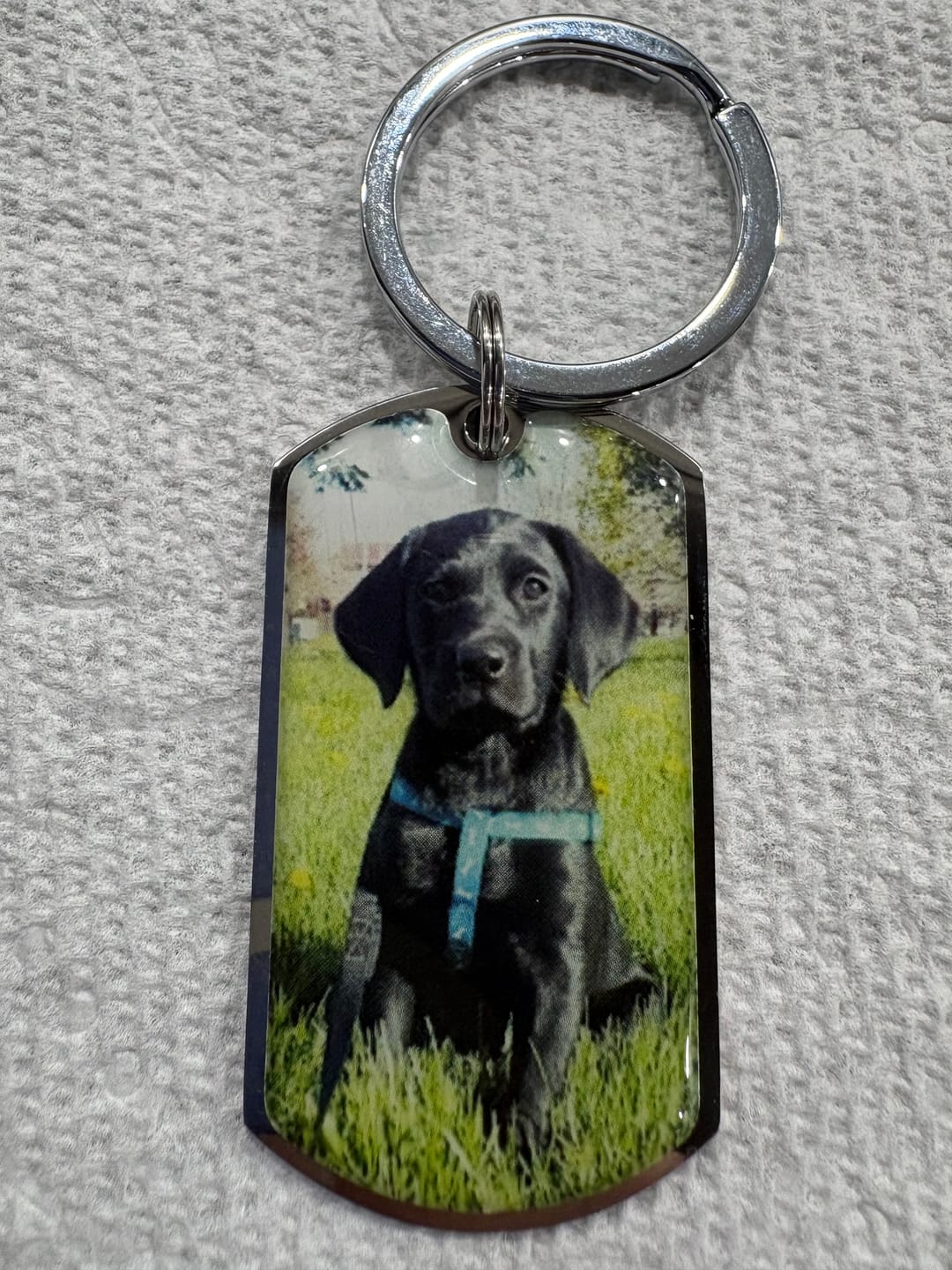 Customer photo review of Personalized Pet Keychain