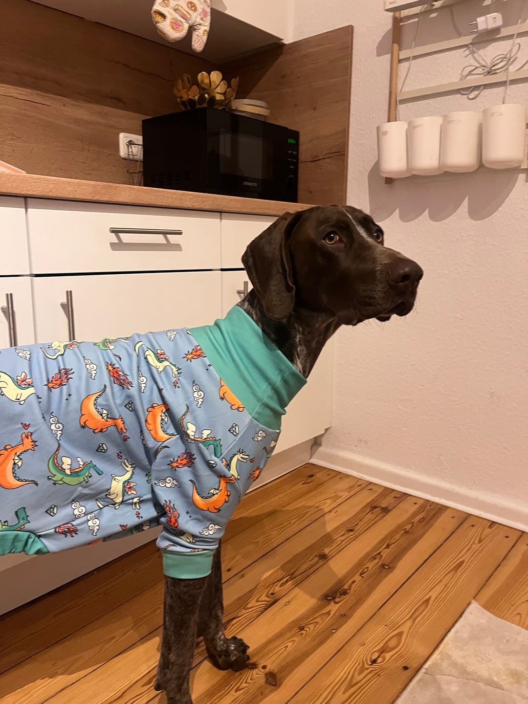 Customer photo review of Dog Pajama Prints