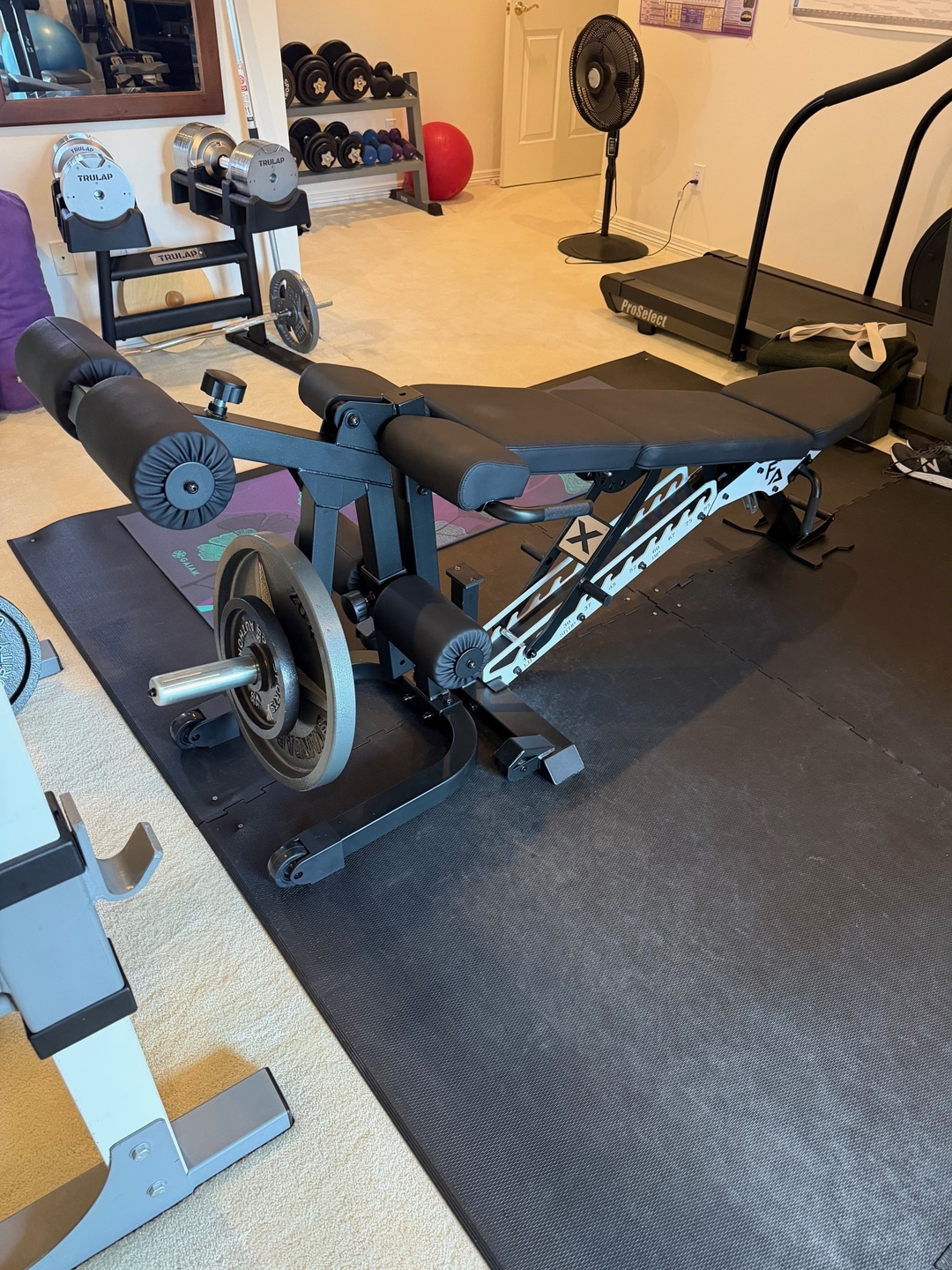 Owner photo of ABX Weight Bench