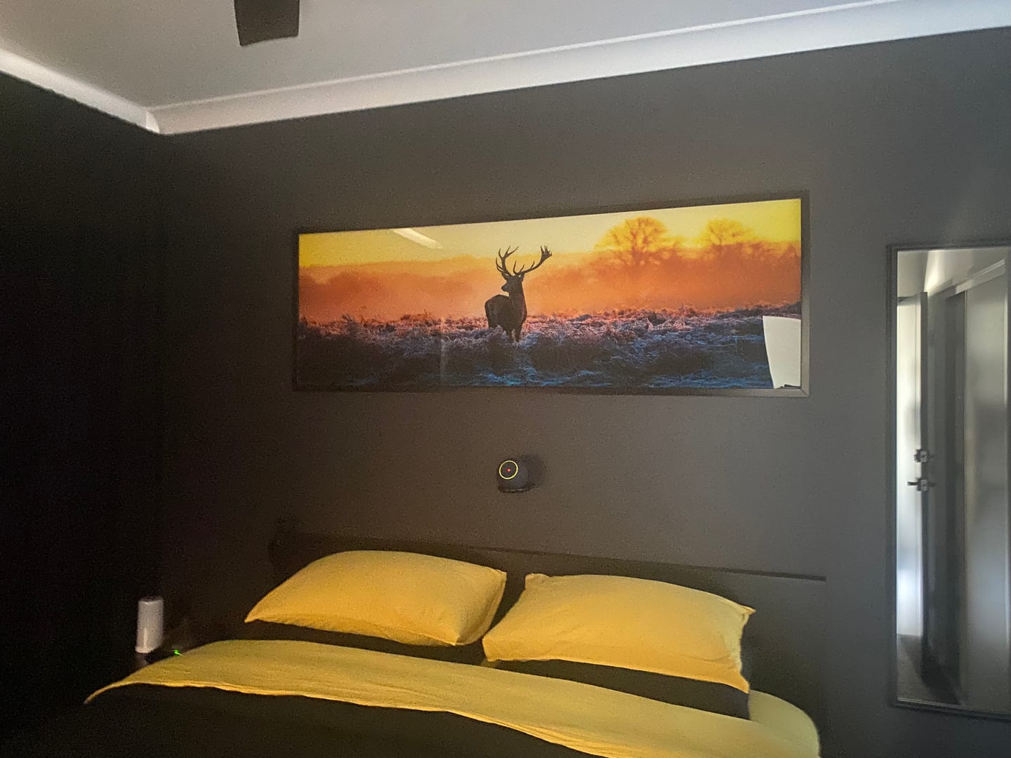 Customer photo review of Red Deer At Dawn
