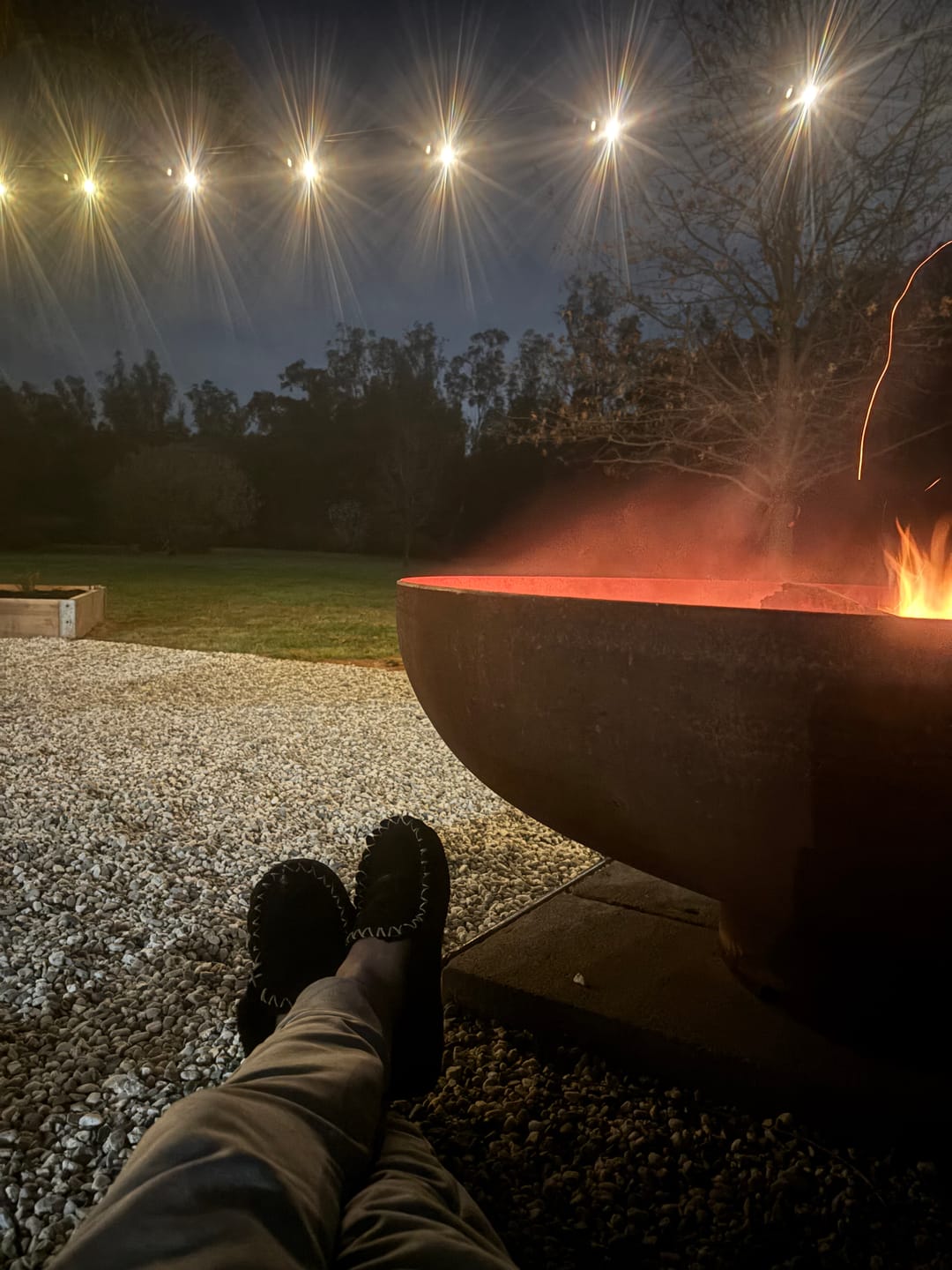Customer photo review of SolaGarden™ Festoon Lights