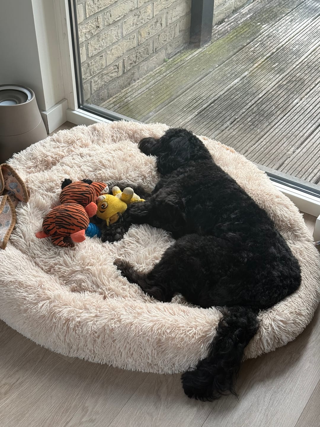 Customer photo review of Pet Perfect Fluffy Donut Hondenmand - Rond - Wasbaar