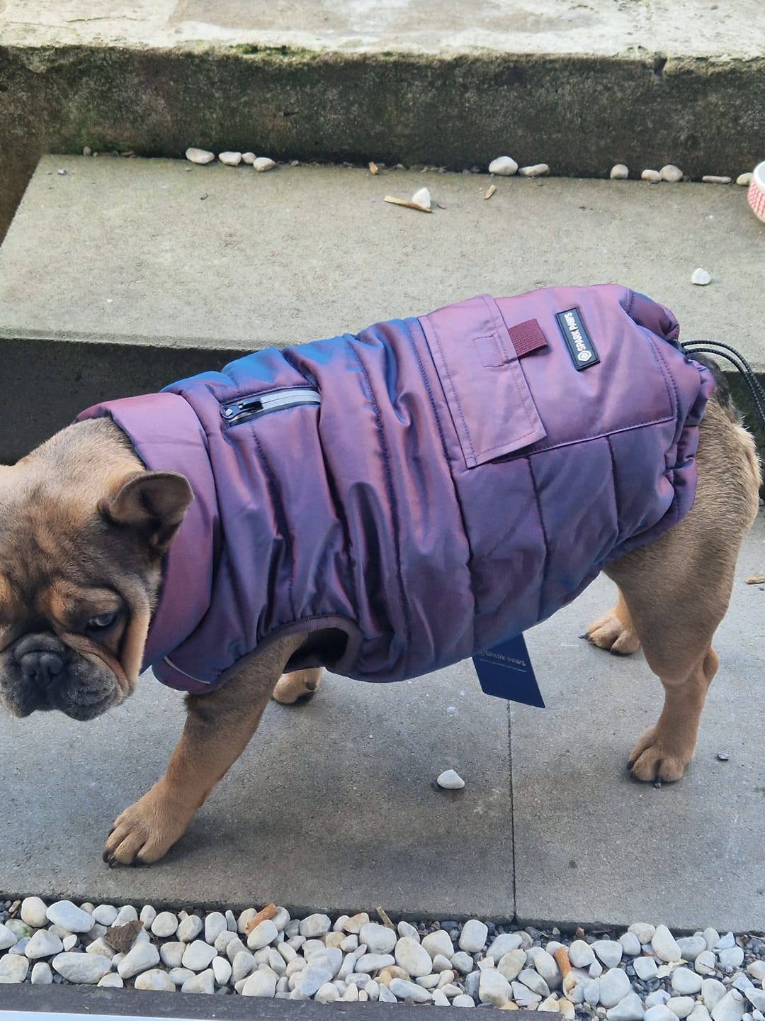 Customer photo review of WarmShield Water-Resistant Jacket - Cosmic
