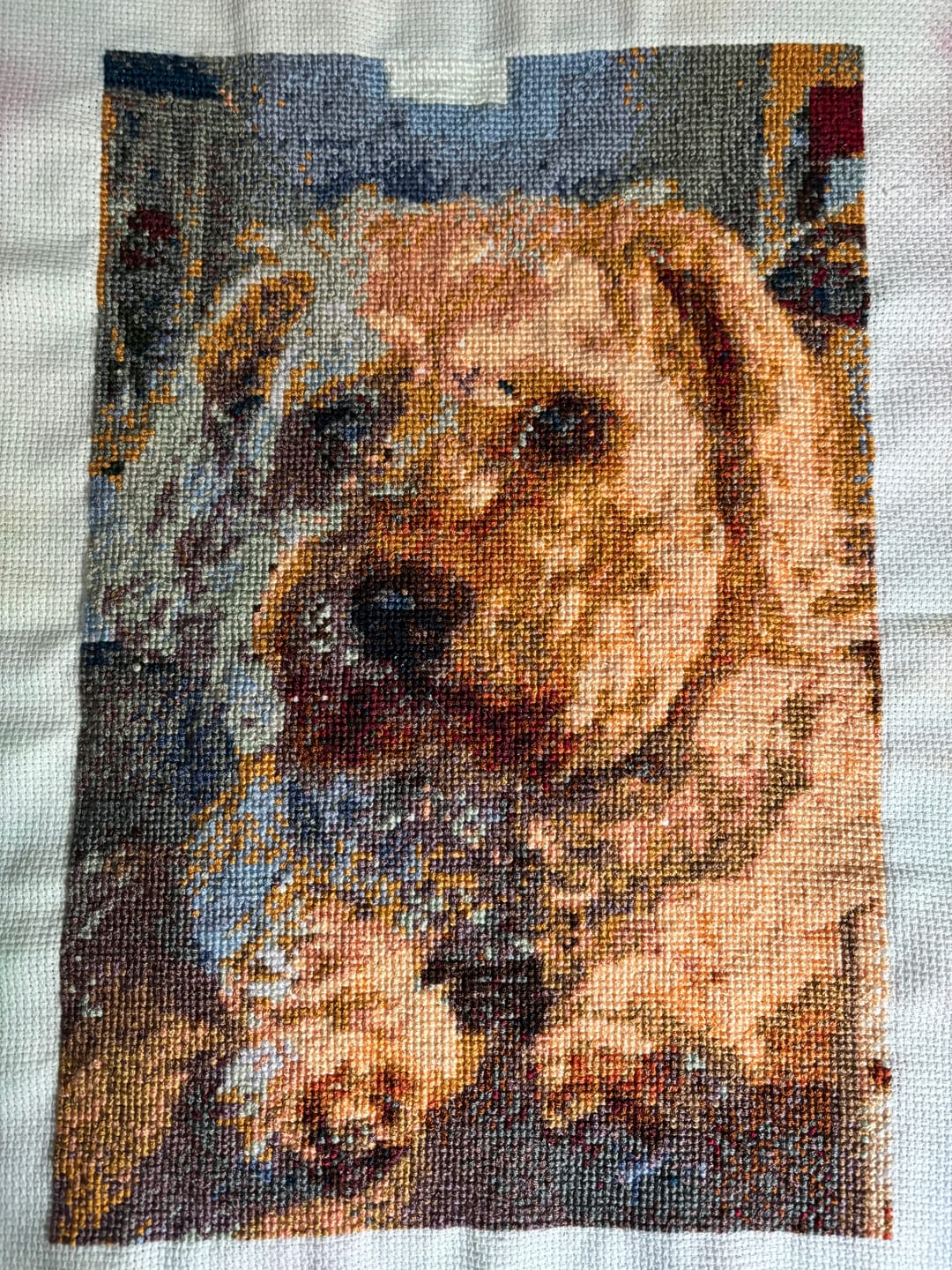 Customer photo review of Custom Cross Stitch Tapestry Kit | Just Upload Your Photo!