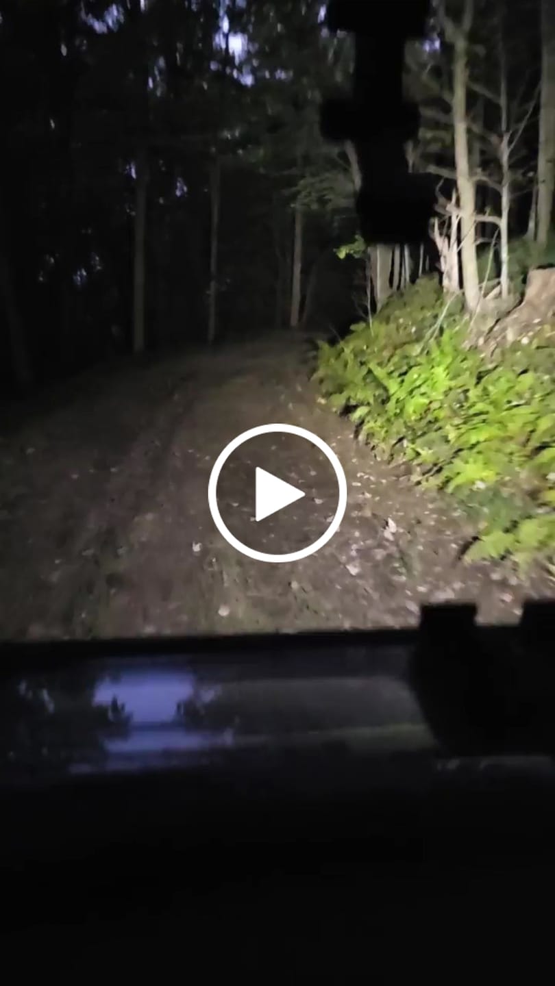 Customer video review of 700 Lumen Magnetic Headlamp & Work Light