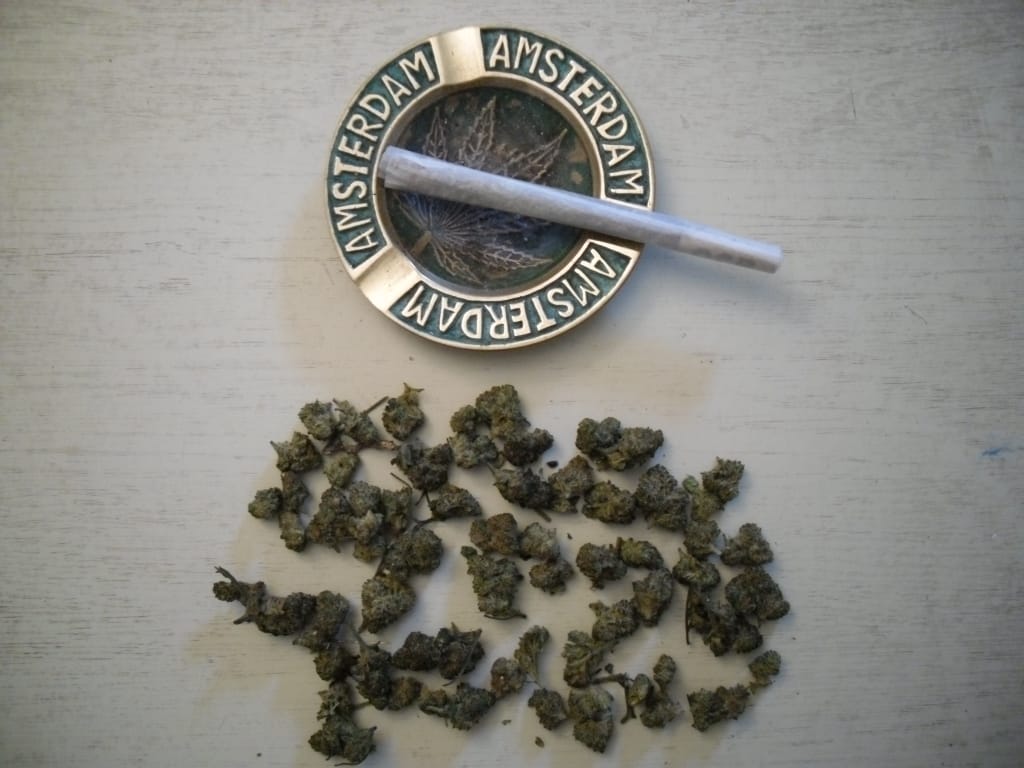 Customer photo review of Super Silver Haze Popcorn