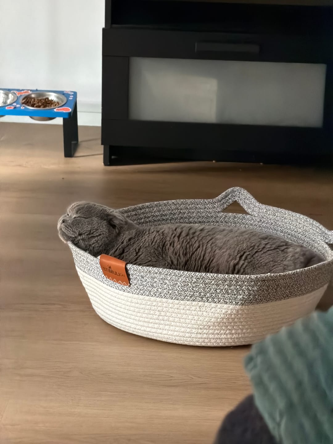 Customer photo review of Instinct Basket | Meet the first research-backed natural territory for indoor cats