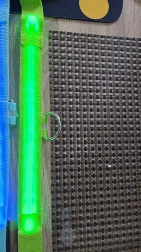 Customer photo review of Double-Light Collar to See Your Dog at Night