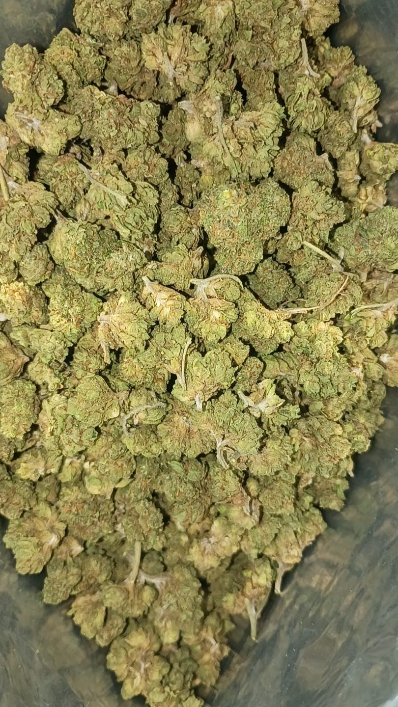 Customer photo review of Cheap THCA Smalls Quarter Pound