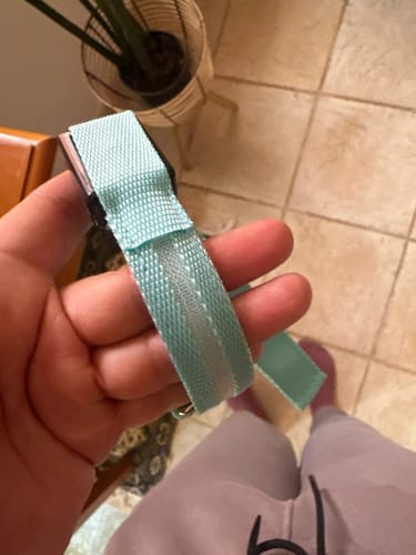 Customer photo review of Double-Light Collar to See Your Dog at Night