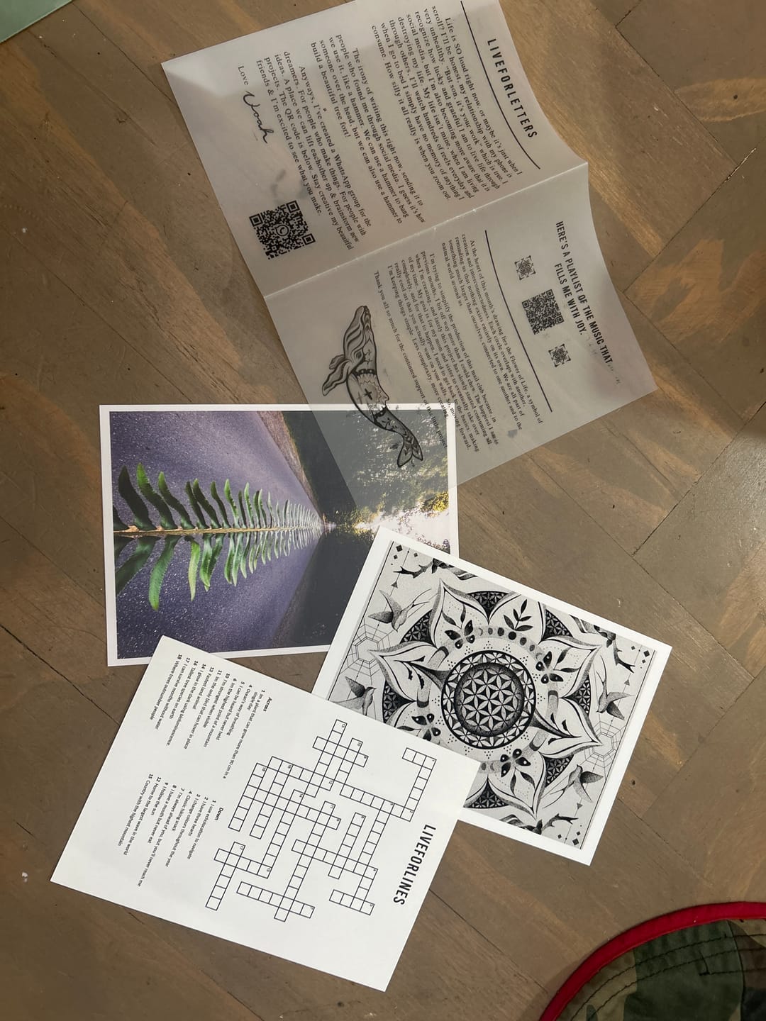 Customer photo review of LiveForLetters September
