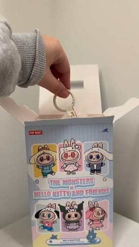 Customer photo review of Labubu Pin For Love Series Blind Box (N–Z Single Box)