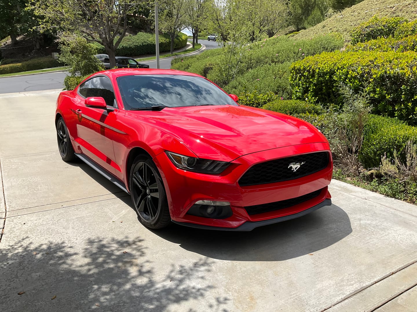 Customer photo review of Shift Ceramic Coating Soap - 16 oz.