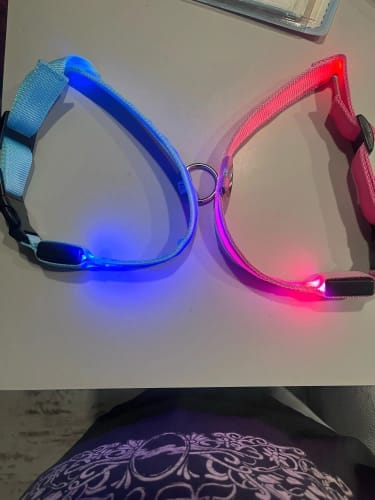 Customer photo review of Double-Light Collar to See Your Dog at Night