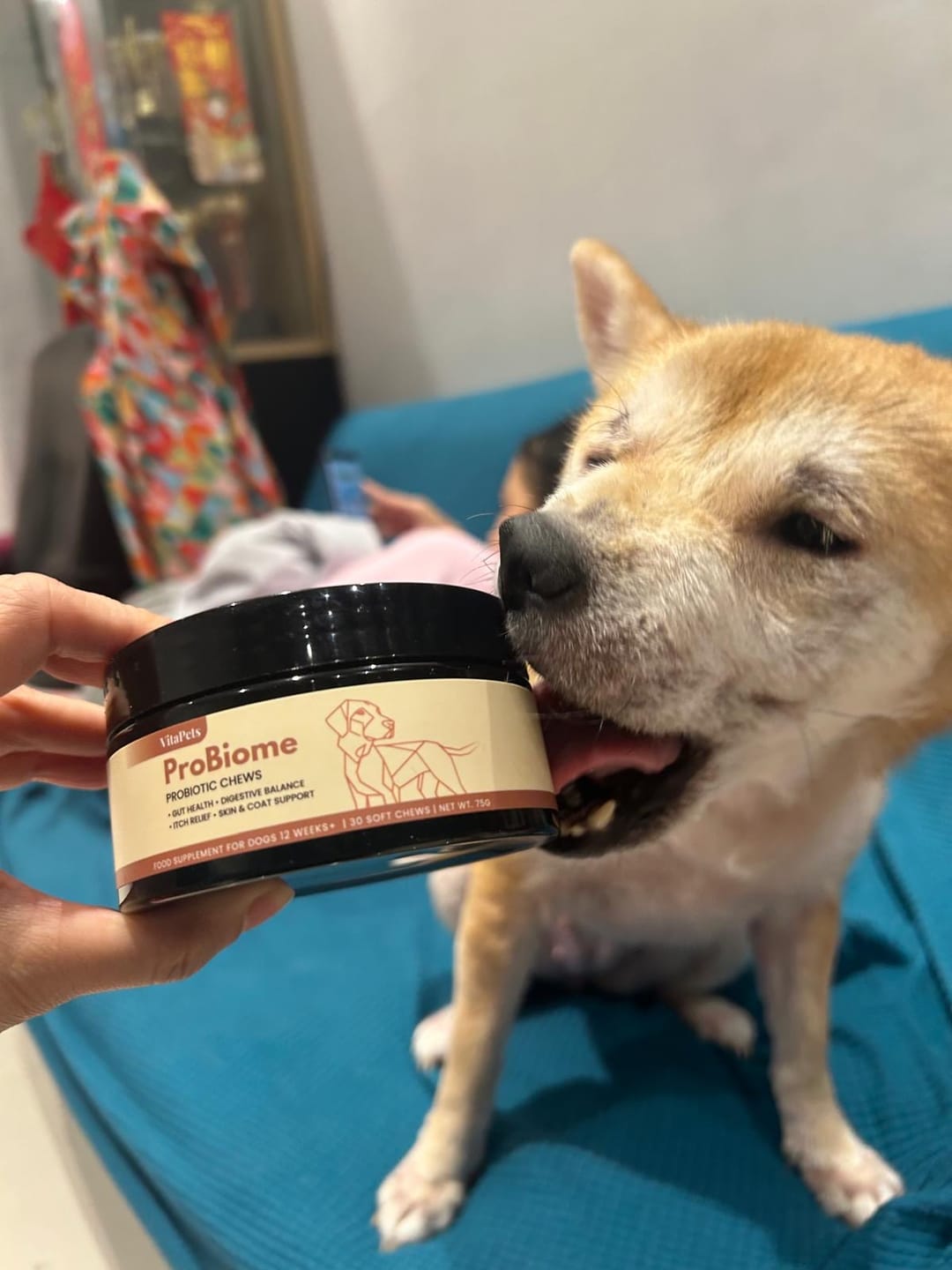 Customer photo review of ProBiome™狗狗益生菌軟粒
