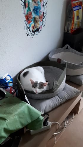 Kunde zeigt Fellnest Katzenkorb mit einer weißen Katze, die gemütlich in der grauen, runden Stoffschale liegt.