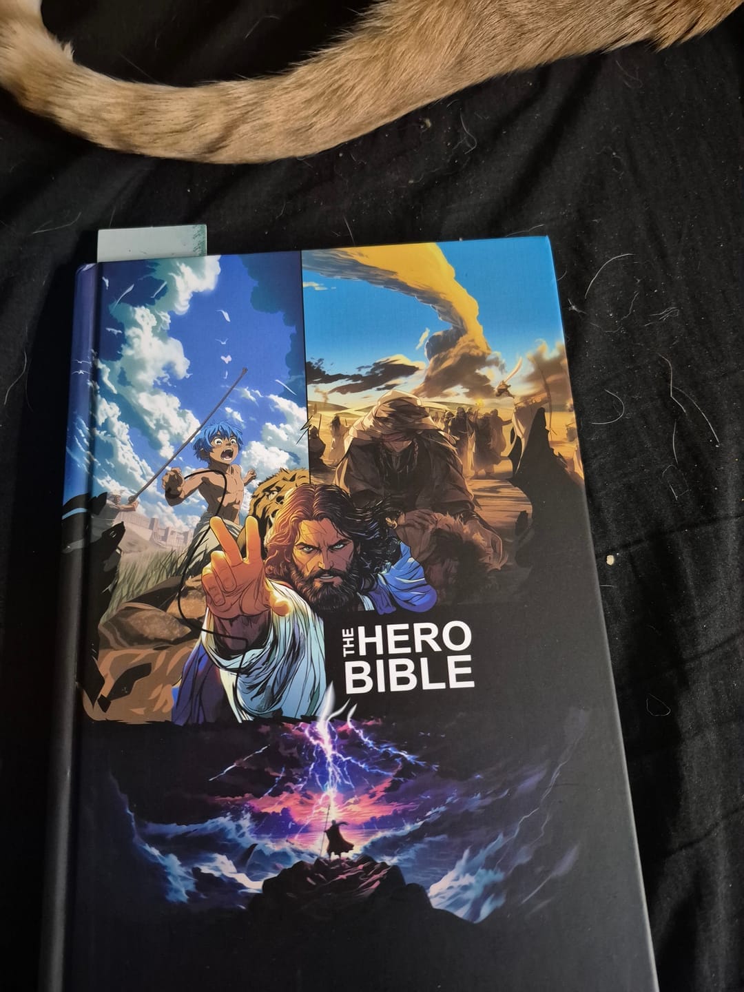 Customer photo review of Comic Bible Book