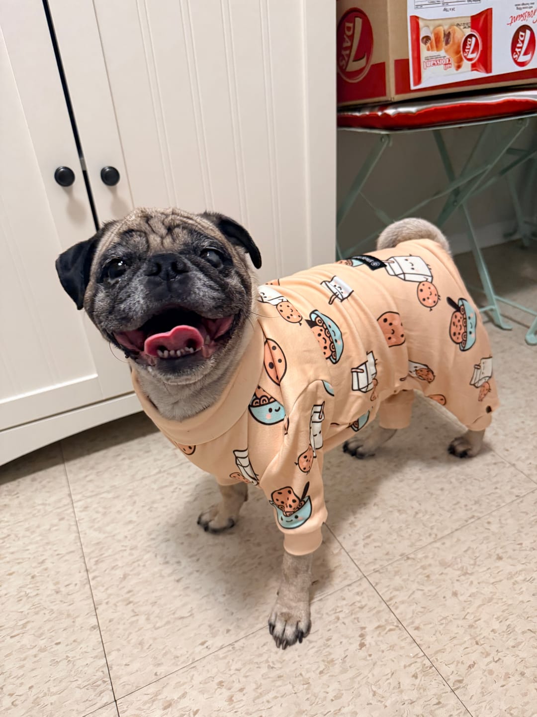 Customer photo review of Essential Dog Hoodie - Baby Blue