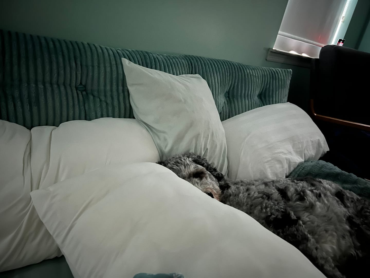 Customer photo review of Puff Pillow