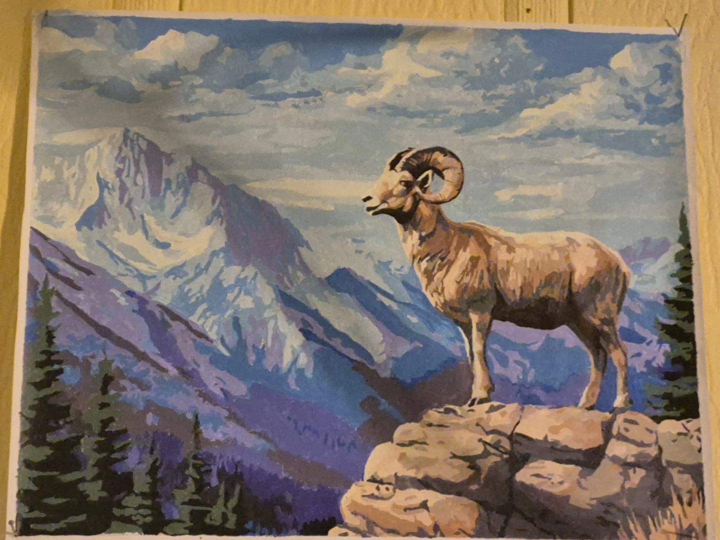 Customer photo review of Bighorn Peak